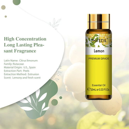 AromaMuse™: Pure Essential Oil Set 🌿💧✨